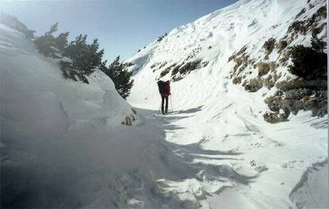 - A picture from the begining of the canyon.